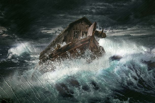 What Can We Learn From Noah? COGWA Members