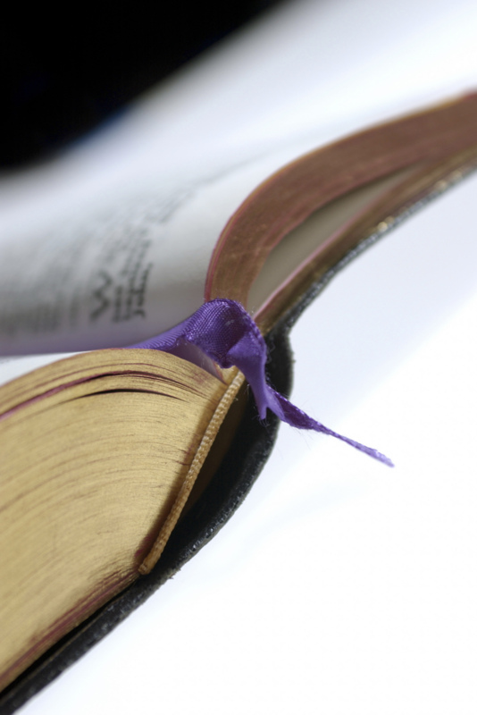 Was the Bible Inspired by Poppy Seeds? COGWA Members