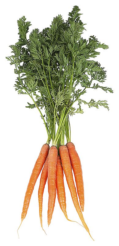 Carrots, healthy foods photo