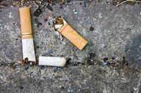 Cigarette butts thrown onto the road by a litterbug.