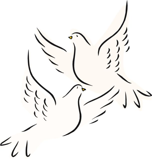 Illustration of two doves, the sacrifice presented after the birth of Jesus, Luke 2:24