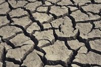 Drought cracked earth photo