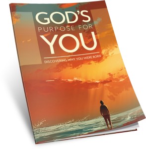 God's Purpose for You