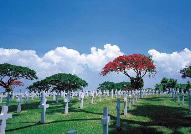 Photo of rows of crosses marking graves at a military cemetery