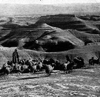 Shepherd and sheep illustrating Moses' hard times in Midian.