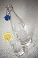 Photo of water glass and bottle. How full is your glass?