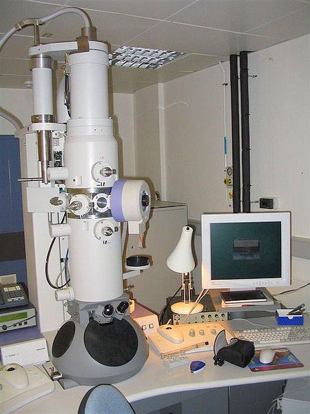 Spiritual Examination: How Deep Is Your Focus? (electron microscope)